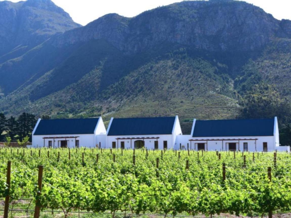 Chambray Estate - The Terraces In The Vines Franschhoek Exterior foto