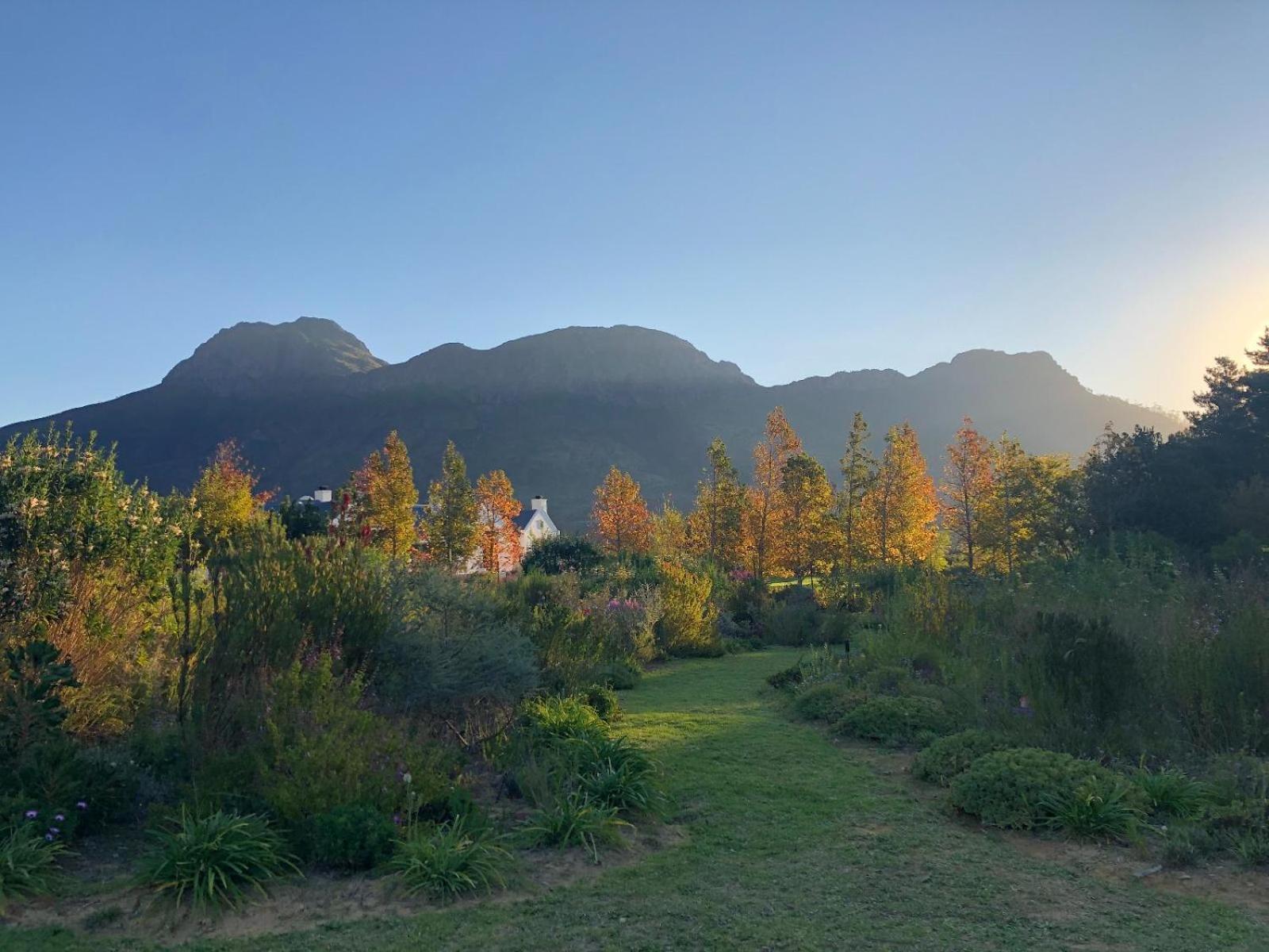 Chambray Estate - The Terraces In The Vines Franschhoek Exterior foto