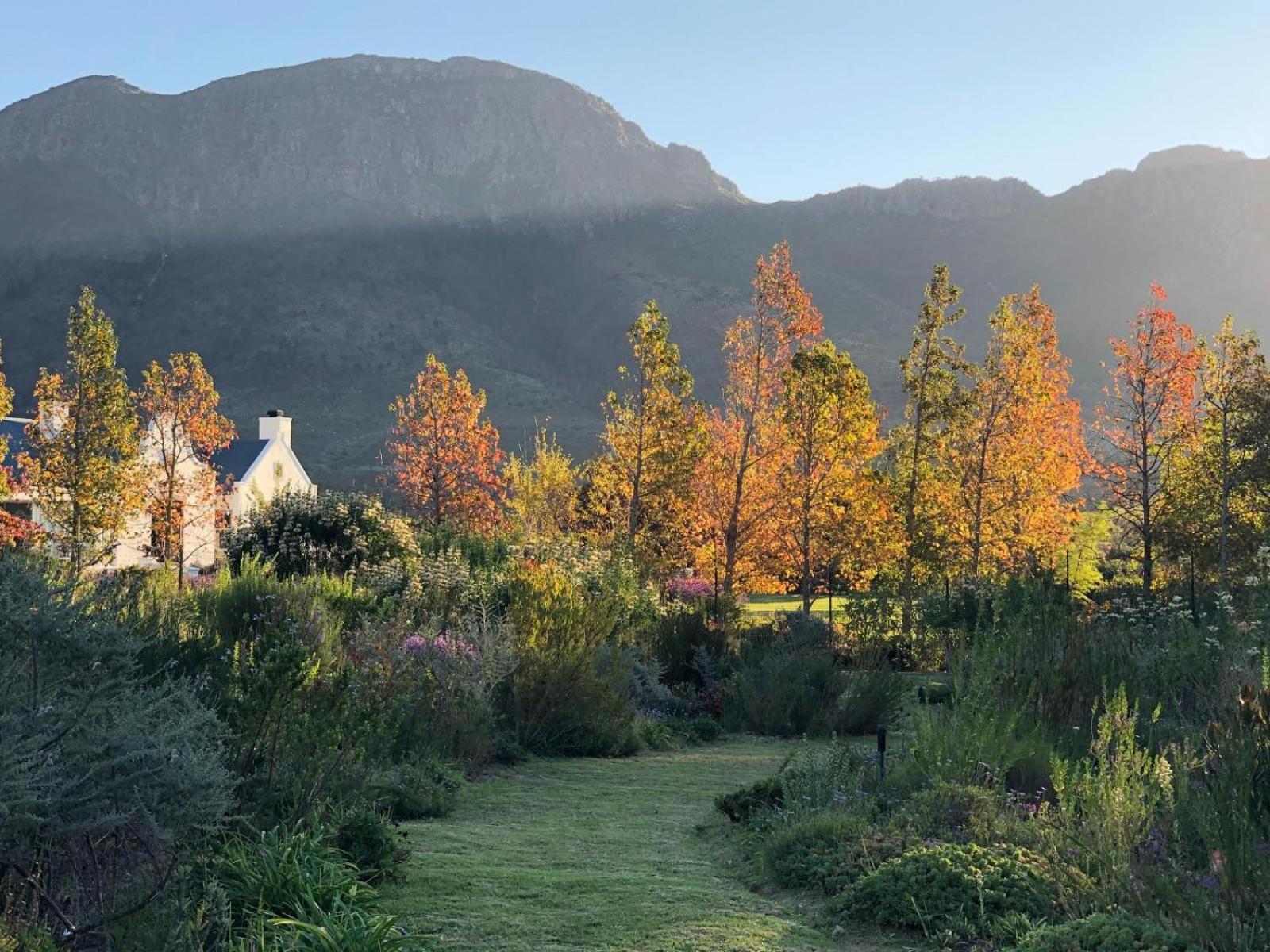 Chambray Estate - The Terraces In The Vines Franschhoek Exterior foto