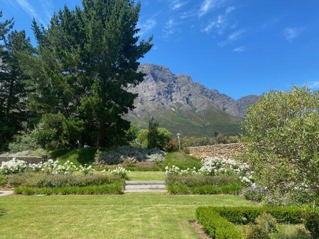 Chambray Estate - The Terraces In The Vines Franschhoek Exterior foto