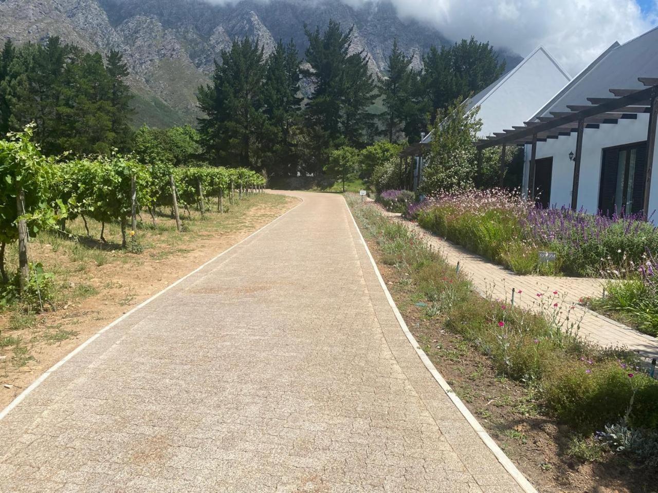 Chambray Estate - The Terraces In The Vines Franschhoek Exterior foto
